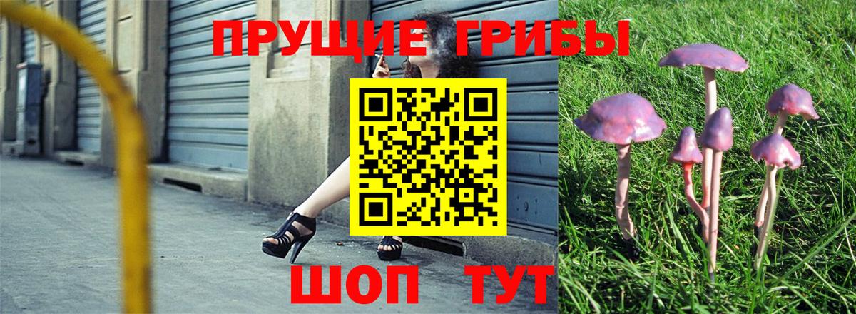 Псилоцибиновые грибы GOLDEN TEACHER Псков